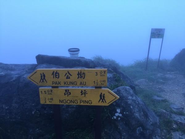 庆云农商银行:加强反诈宣传力度 提升群众反诈意识
